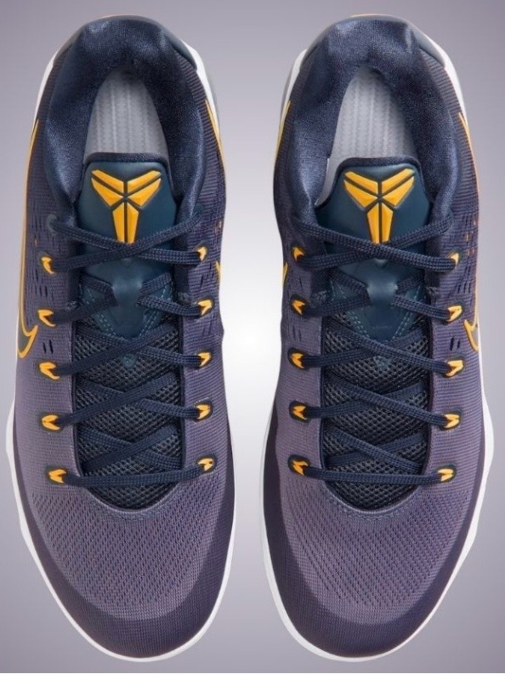 Nike Kobe IX EM Low Protro TB Daybreak Thunder Blue IH1401-401 Men's Size 11